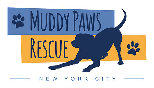 Muddy 2024 paws brooklyn