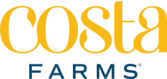 Costa Farms